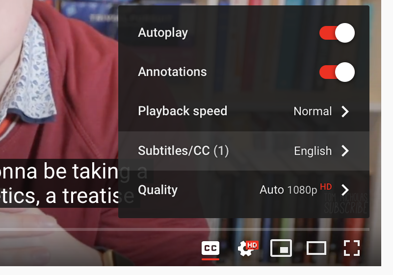 image of the settings menu on the YouTube video player. The Subtitles/CC option is selected
