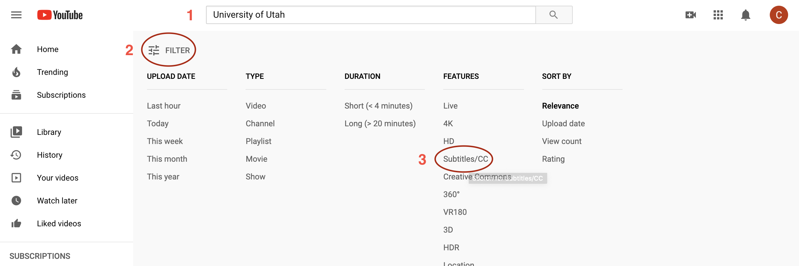 Screenshot showing the search box on youtube with the filters tool open and "Subtitles/CC" option highlighted
